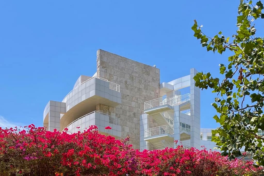 About Simply Living Happy About bougainvillea in bloom ag Getty